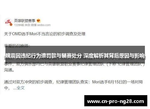 魏震因违纪行为遭罚款与禁赛处分 深度解析其背后原因与影响