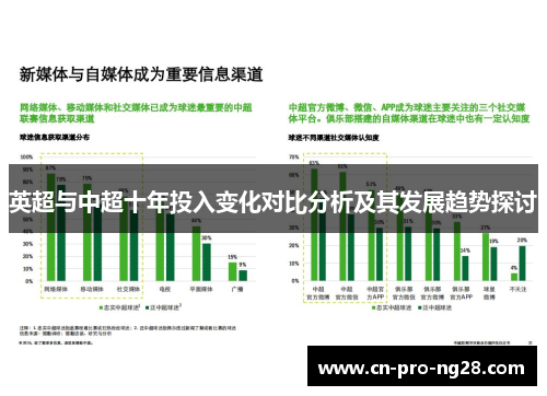 英超与中超十年投入变化对比分析及其发展趋势探讨
