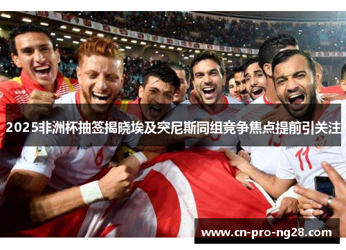 2025非洲杯抽签揭晓埃及突尼斯同组竞争焦点提前引关注
