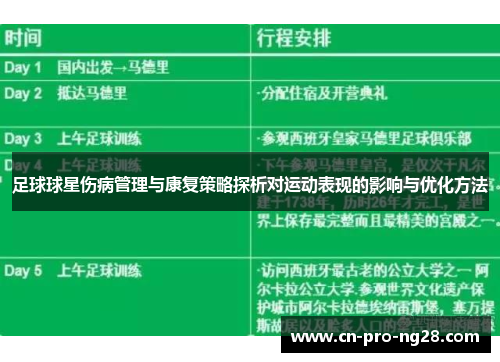 足球球星伤病管理与康复策略探析对运动表现的影响与优化方法